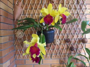 unknown_800