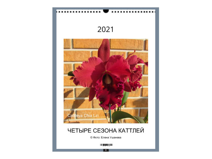 calendar-2021-cover4.jpg