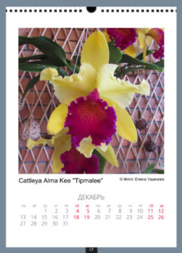 calendar-2021-12.jpg
