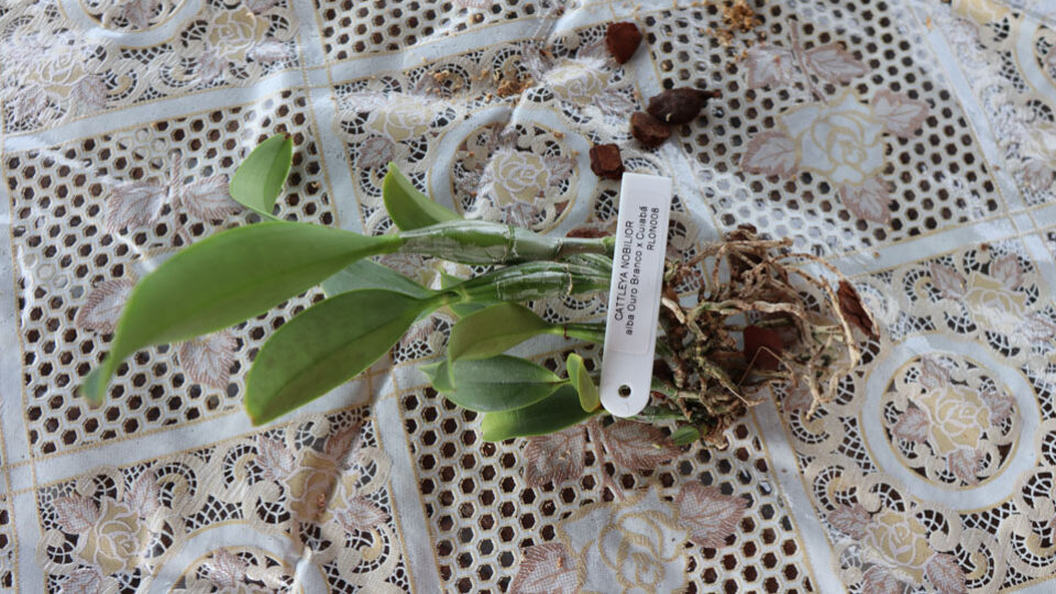 112-1.jpg