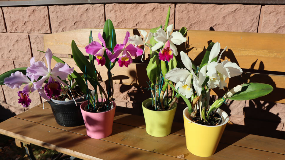 473.jpg